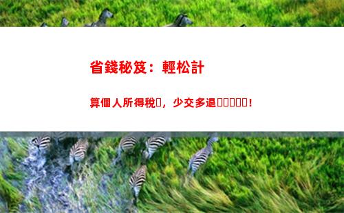 快速計算你的個人所得稅，省時省力！